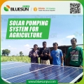 Sistema de bomba de agua de agricultura solar 15HP