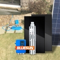 Bluesun 1500W 2HP 3HP Bomba de agua solar 48V Sistema de bomba solar de pozo profundo DC para agricultura