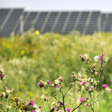 la energía solar se adelantará para ofrecer un 20% más de producción con un costo de módulo 25% menor en 15 meses