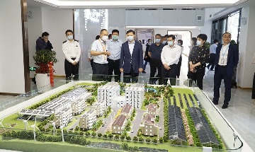 Vice Gobernador Zhang Xi trajo la aduana director del Departamento Provincial de Comercio, el jefe de la Susa Distrito y los líderes de los diferentes departamentos para visitar el Bluesun Solar.
