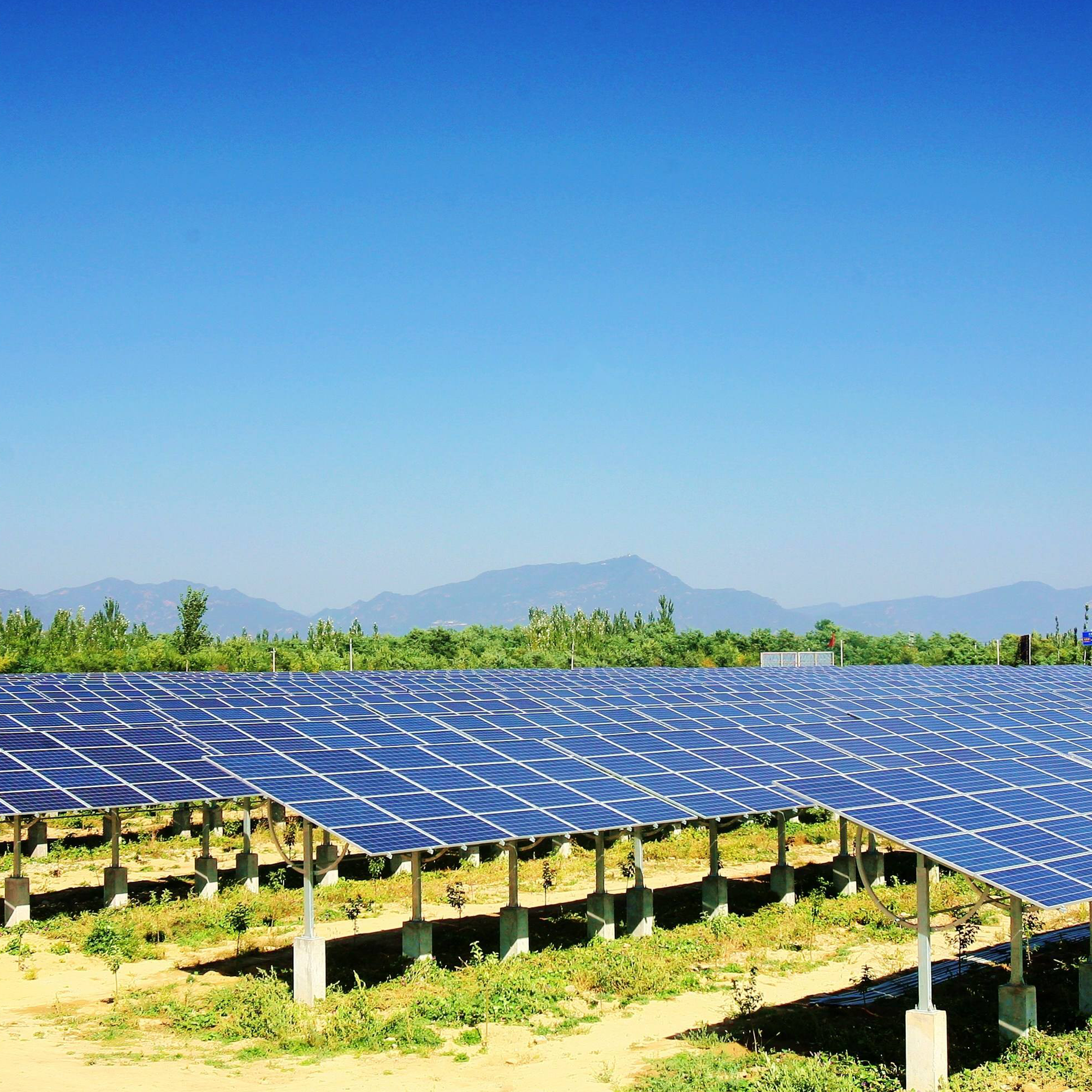 1.3mw en la central eléctrica de la red en China